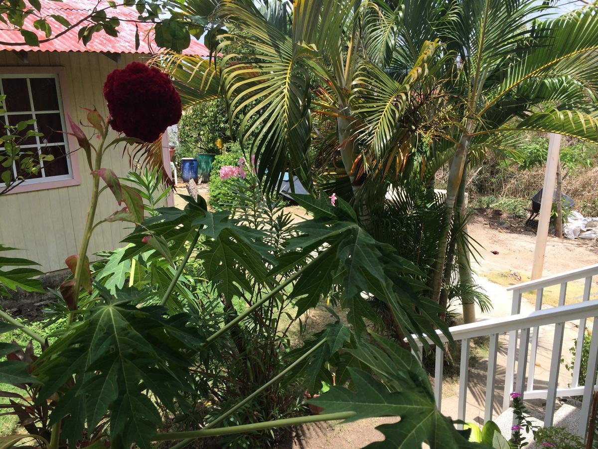 Posada Miss Portia Bahia Suroeste Bagian luar foto