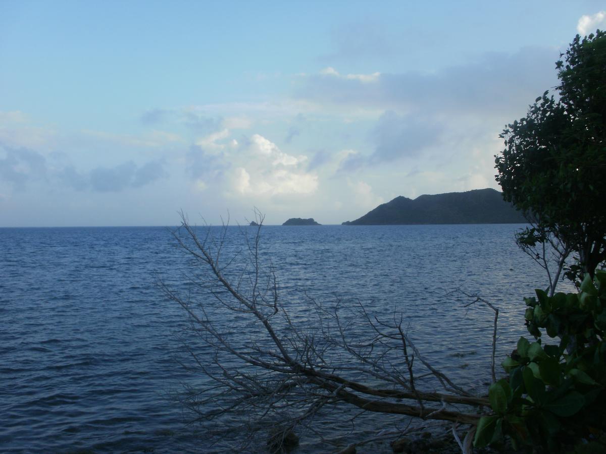Posada Miss Portia Bahia Suroeste Bagian luar foto