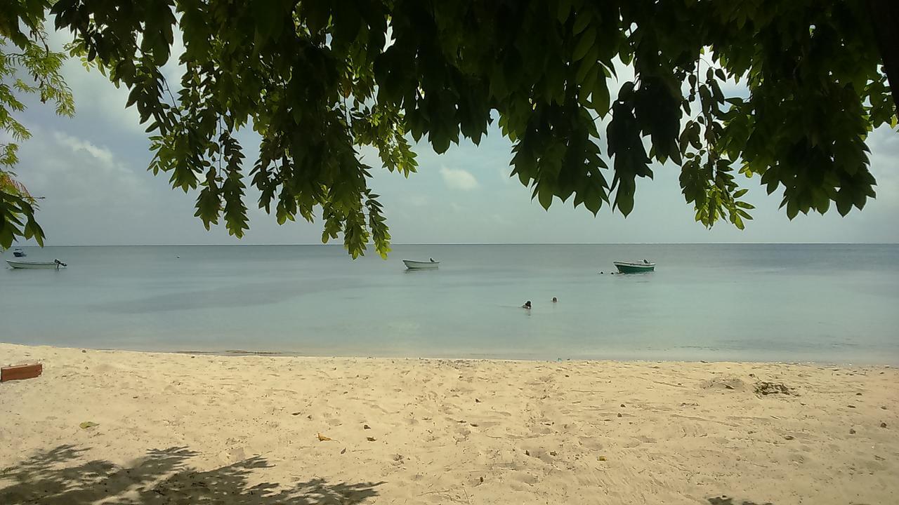 Posada Miss Portia Bahia Suroeste Bagian luar foto