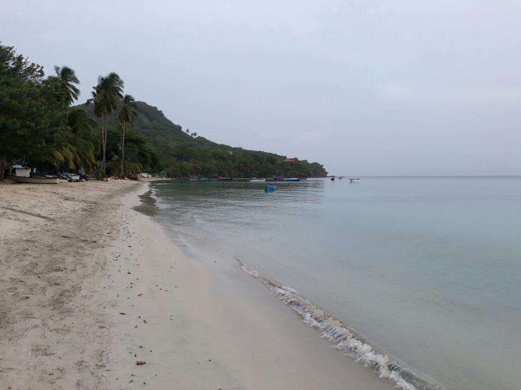 Posada Miss Portia Bahia Suroeste Bagian luar foto