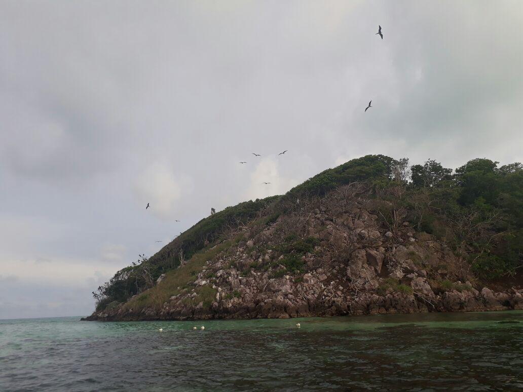Posada Miss Portia Bahia Suroeste Bagian luar foto