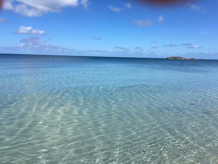 Posada Miss Portia Bahia Suroeste Bagian luar foto