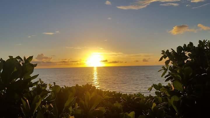 Posada Miss Portia Bahia Suroeste Bagian luar foto
